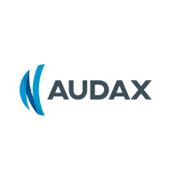 AUDAX Vision Brasil Logo