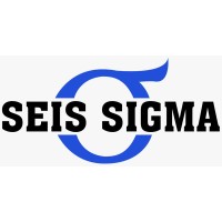 Seis Sigma & Partners Logo