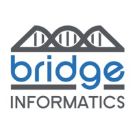 Bridge Informatics Logo