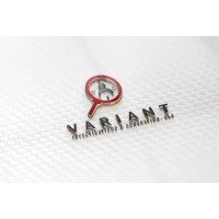 Variant Investigations & Consulting, LLC Logo