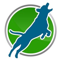 Birddog Partners Logo