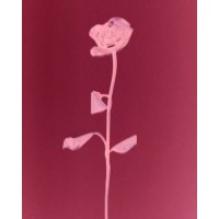 The Imagine Center for Psychological Health Logo