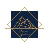Precipice Ventures Logo