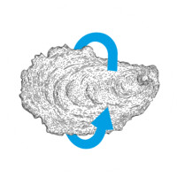 Coquilles Logo