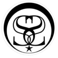 Seer Security, LLC Logo