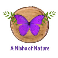 A Niche of Nature Logo