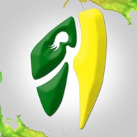 Unidad Educativa Particular Instituto Coello Logo