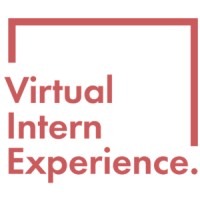 Virtual Intern Experience Logo