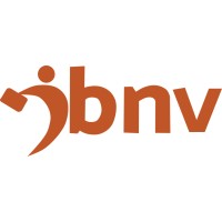 IBNVendas - Instituto Brasileiro de Negociação e Vendas Logo