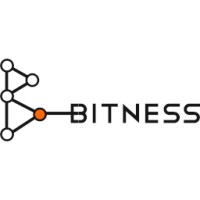 Bitness srl Logo