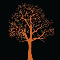 Maclura Investments Logo