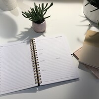 Daily Activity Planner Logo