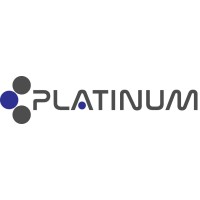 Platinum srl Logo