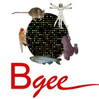 Bgee, a gene expression database Logo