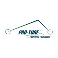 Pro-Ture Consulting Services Logo