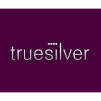 Truesilver WEB/SOCIAL/MARKETING Logo