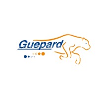Guepard Telecomunicacions Logo