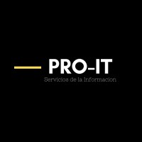 PRO-IT Logo