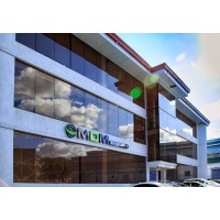 MDM Systems, Inc. Logo