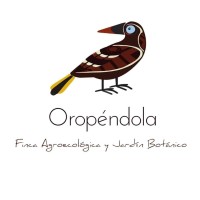 Oropéndola Finca Agroecológica y Jardín Botánico Logo