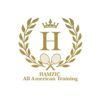 HAMZIC All American Training LLC Logo