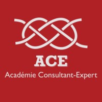 Académie Consultant Expert Logo