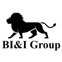BI&I Group LLC. Logo