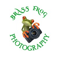 Brass Frog Photography Logo