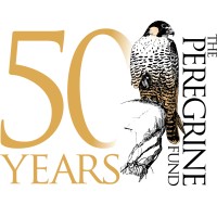 The Peregrine Fund Logo