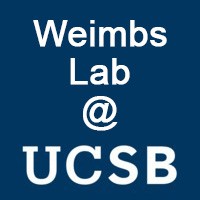 Weimbs Lab Logo