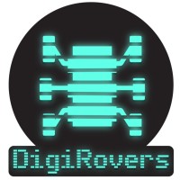 DigiRovers Solutions Private Limited Logo