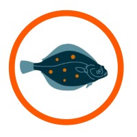 Schol op Urk Logo