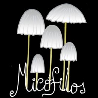 NGO Micofilos Logo