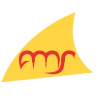 AMS - Advanced Management Solutions Logo