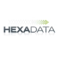 HexaData bv Logo