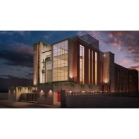 The Shoes Bangladesh Ltd. Logo