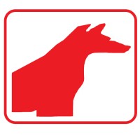 Dingo Coffee Co. Logo