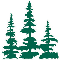 City of Nisswa, Minnesota Logo