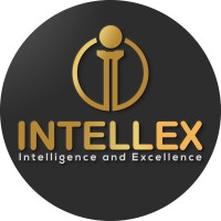 Intellex Consulting ( Intellex Strategic Consulting Private Limited) Logo