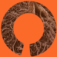 Communitas Comunicação Logo