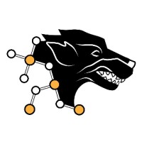 Blackwolf Copper and Gold Ltd. Logo