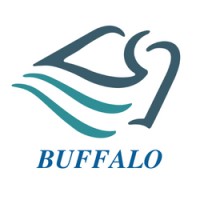 Buffalo Business Group S.A.S. Logo
