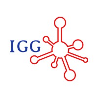 IGG Consultants Logo