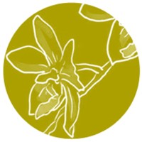 Orchis (Organisations changements et innovations sociales) Logo