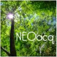 NEOacq Logo