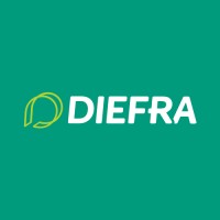 Diefra Engenharia e Consultoria Ltda Logo