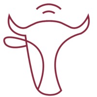 Caravan Tech Logo