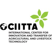 CIITTA Logo