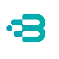 BDOIS Logo