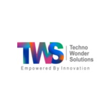 Techno Wonder Solutions Logo